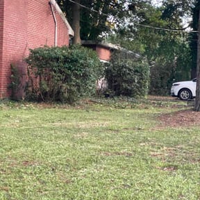 Bush Trimming by AMAZING GRAZERS reviewed on June 13, 2025