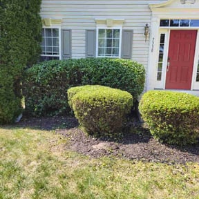 Bush Trimming by Jeffery Hartupee reviewed on July 9, 2022