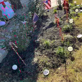 Flower Bed Weeding by VC & Sons Total Home Solutions reviewed on November 1, 2021