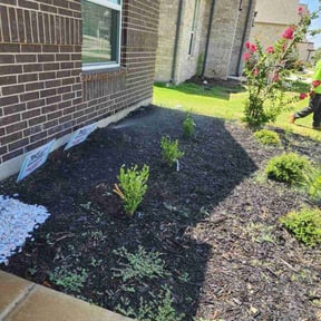 Landscaping by pnp concrete reviewed on August 9, 2022