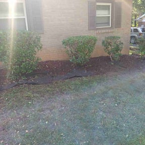 Bush Trimming by JES Lawn Service LLC reviewed on December 7, 2024