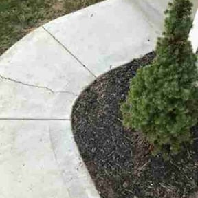 Flower Bed Weeding by Mitchell's Home Solutions reviewed on May 25, 2025