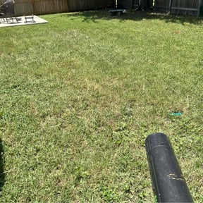 Cleanups by Texas Lawn's reviewed on April 27, 2022