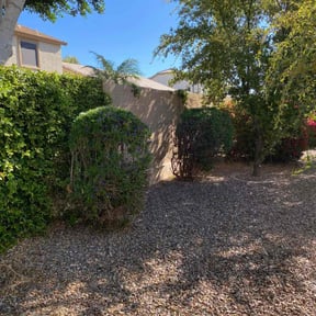 Bush Trimming by C J 's. Lawn Care reviewed on July 18, 2025