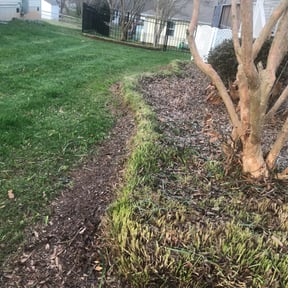 Landscaping by Ridgewood Landscape Management llc. reviewed on April 29, 2025