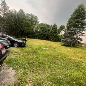 Cleanups by Precise Lines Lawn Care reviewed on September 30, 2021