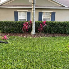 Bush Trimming by Kinge lawn care and more llc. reviewed on July 16, 2022