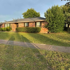 Bush Trimming by LSLTDallas/FortWorthTruGreen reviewed on June 27, 2025