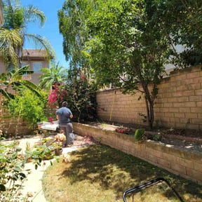 Cleanups by Doodlebug Services reviewed on May 13, 2022