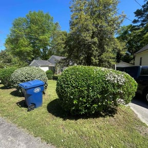 Bush Trimming by Tropilawn Landscaping reviewed on May 3, 2022