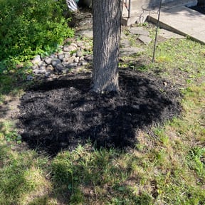 Mulching by Rebecca Montague reviewed on June 29, 2022