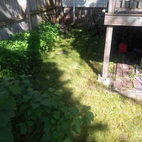 Leaf Removal by Texas lawnscapes reviewed on May 4, 2022