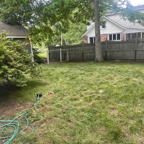 Leaf Removal by McHenry Landscaping and Pressure Washing reviewed on May 31, 2022