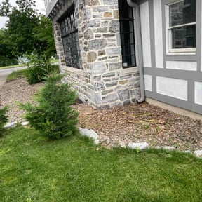 Leaf Removal by kumler lawn care reviewed on July 3, 2020