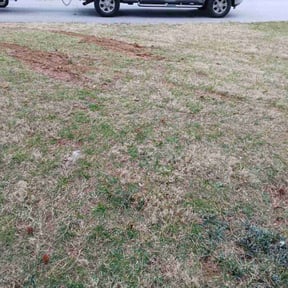 Cleanups by Gia Mobile Detailing reviewed on May 19, 2021