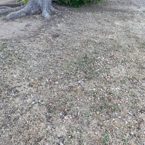 Leaf Removal by OT Lawn Service reviewed on February 24, 2025