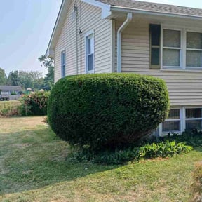 Bush Trimming by Denson's Total Lawn Care reviewed on August 9, 2022