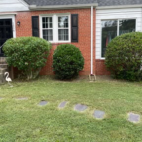 Bush Trimming by Great Look Lawn Care reviewed on April 14, 2022