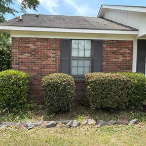 Bush Trimming by LSLTDallas/FortWorthTruGreen reviewed on August 23, 2024