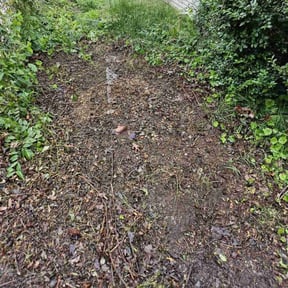 Cleanups by Champions Landscape reviewed on March 26, 2022