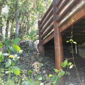 Cleanups by Green machine landscaping reviewed on April 26, 2022
