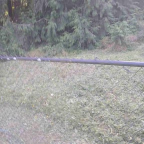 Mulching by Robert Norton’s Lawn Care reviewed on November 27, 2024