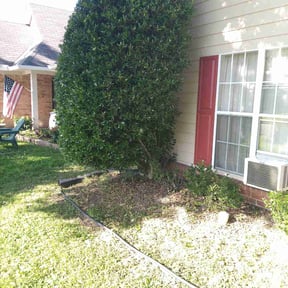 Bush Trimming by K&G Lawn and Garden Services reviewed on March 28, 2025
