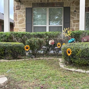 Bush Trimming by Brett&#039;s Lawn Service  reviewed on July 13, 2020