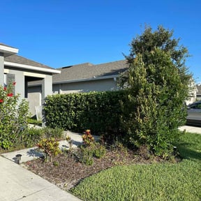 Bush Trimming by Quality cuts lawn and landscaping reviewed on August 9, 2024