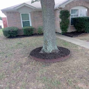 Bush Trimming by CJ lawnscapes reviewed on July 19, 2022