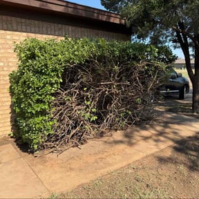 Bush Trimming by Willie&#039;s Mobile Lawn Services reviewed on July 14, 2022