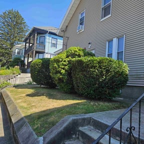Bush Trimming by Masterpiece Homes reviewed on June 17, 2020