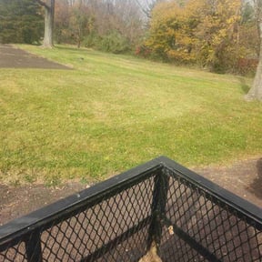 Leaf Removal by Forevergreen Landscaping/lawn maintenance reviewed on November 12, 2021