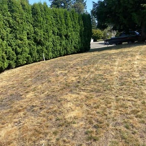 Flower Bed Weeding by Royalty lawn care reviewed on October 4, 2021