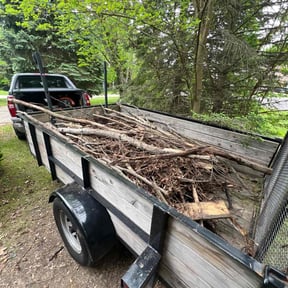 Cleanups by JT lawn care grass guys reviewed on April 28, 2025