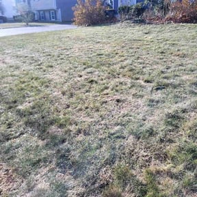 Cleanups by Joe's Lawn Care reviewed on June 25, 2022