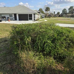 Bush Trimming by Deal's Lawn Maintenance reviewed on March 31, 2022