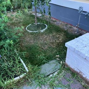 Weed Pulling by Rich's Renovations reviewed on June 23, 2022