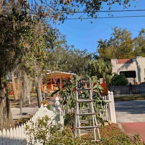 Bush Trimming by Precision Lawn Care of VA reviewed on July 25, 2022