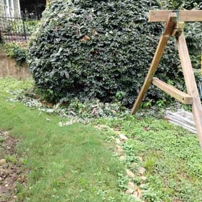 Bush Trimming by Rare gardens reviewed on July 29, 2022