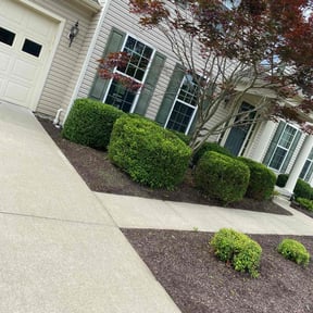 Bush Trimming by Wolverine Lawncare reviewed on July 5, 2022