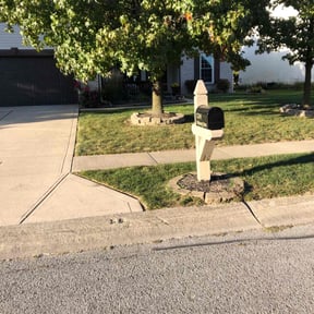 Bush Trimming by TwinEagleLandscaping reviewed on July 16, 2022