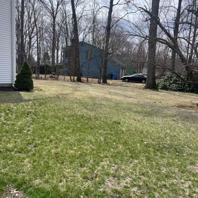 Leaf Removal by Taffe's reviewed on May 23, 2022