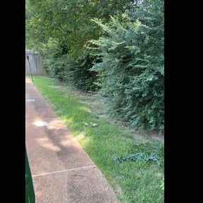 Bush Trimming by Top Turf L.L.C reviewed on August 21, 2020
