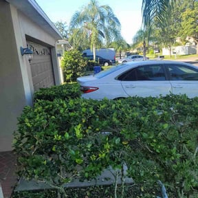 Bush Trimming by Stoney Contractors LLC reviewed on August 1, 2022