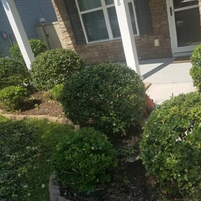 Bush Trimming by Hanahan Lawn Care LLC reviewed on May 17, 2025