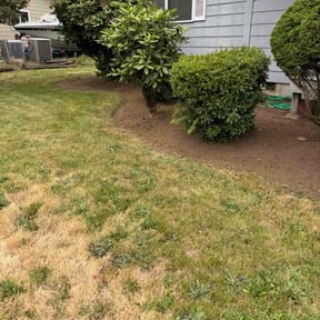 Flower Bed Weeding by Blue Diamond Cleaning Services reviewed on June 8, 2020