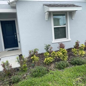 Weeding by TruGreen LawnCare reviewed on March 4, 2025