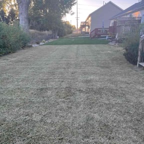 Bush Trimming by Ernest goes to lawn care reviewed on September 3, 2021