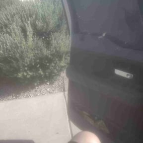 Weed Pulling by BLC3 LLC / Turf Guys reviewed on July 27, 2022